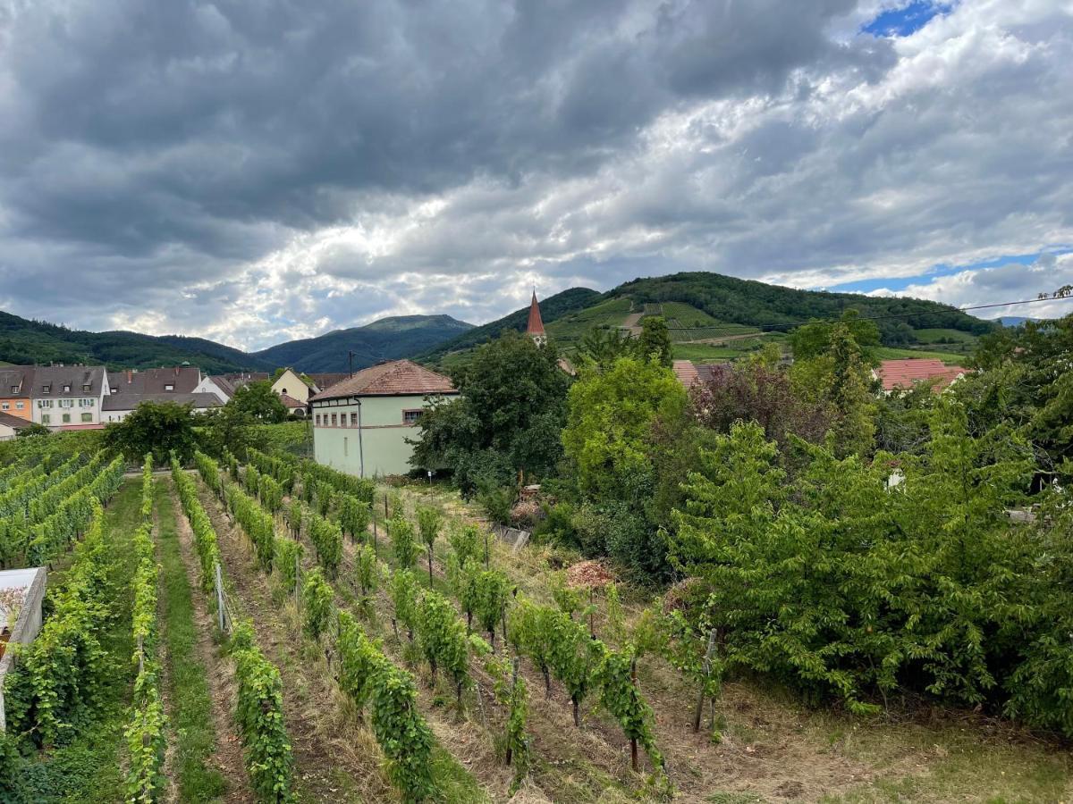 Alsacebnb - Gite 12 Personnes Dans Le Vignoble - Piscine Privee & Spa Амершвир Экстерьер фото