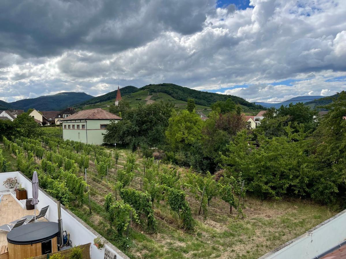 Alsacebnb - Gite 12 Personnes Dans Le Vignoble - Piscine Privee & Spa Амершвир Экстерьер фото